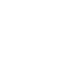 Ethically raised beef from local Queensland farms