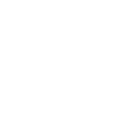Farm direct beef delivery from Kingsthorpe Queensland