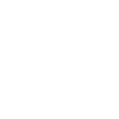 Humanely raised grass-fed cattle in Queensland