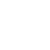 Pasture-raised grass-fed cattle on Australian farms